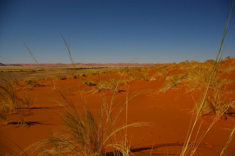 323 Namibia Okt 2006 .JPG